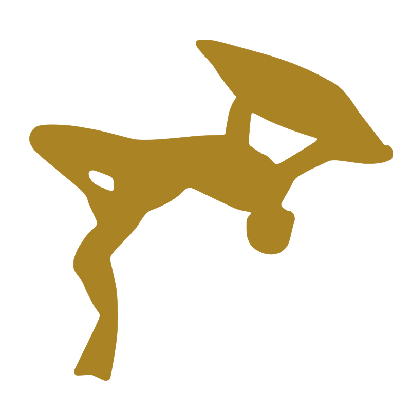 Bodyboarding Bodyboarder - Boo - Bodyboard Boogie Board review and price